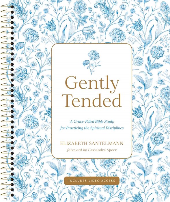Gently Tended with Streaming Video Access