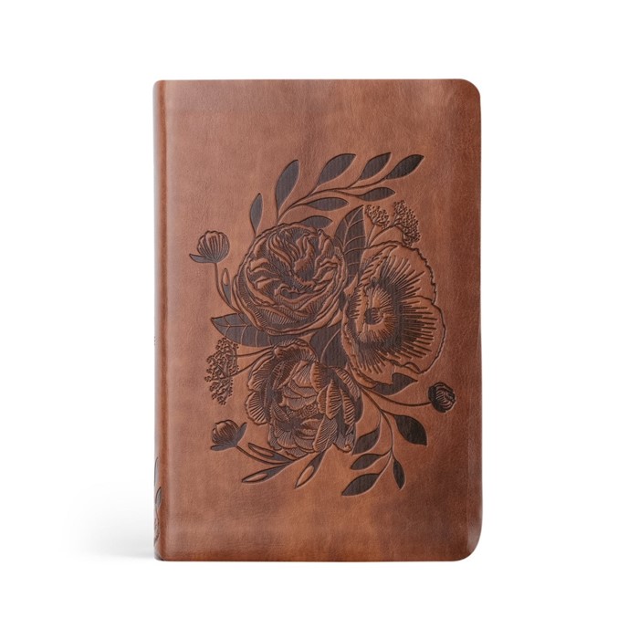 NLT Compact Bible: Aurora Theme