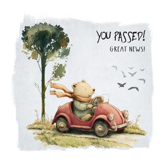 Bear in Car Passed Driving Test Card