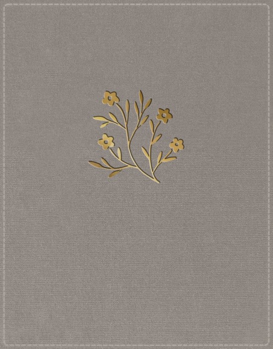 NKJV New Testament, Tracing Edition, Gray