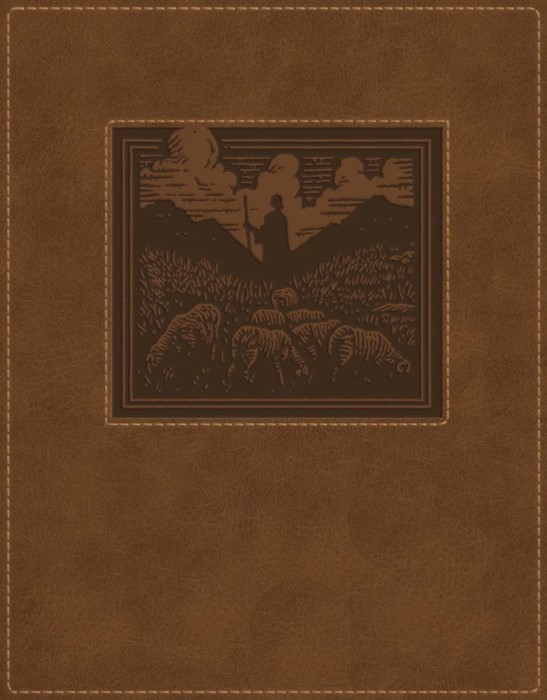 NKJV New Testament, Tracing Edition, Brown