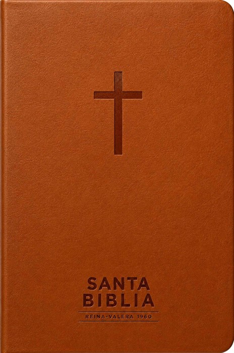 Santa Biblia Reina-Valera 1960 - Visual Con Mapas Mentales