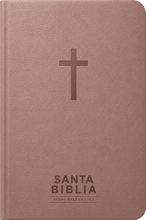 Santa Biblia Reina-Valera 1960 - Visual Con Mapas Mentales