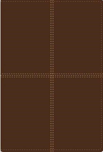 RVR 1960 NIV Bilingual Bible - Biblia Bilingue