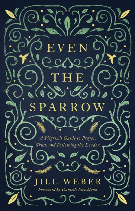 Even the Sparrow