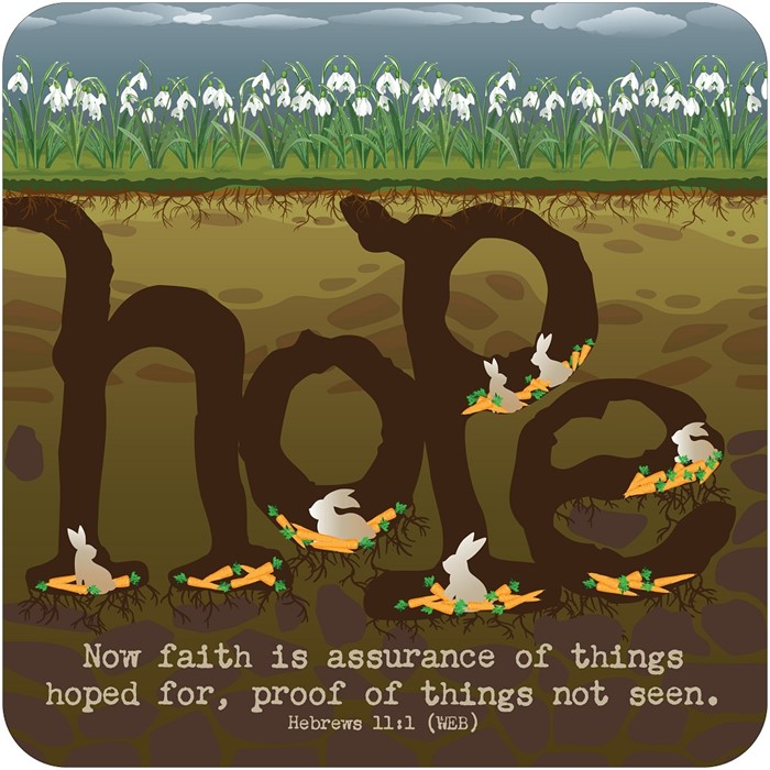 Hope Coaster