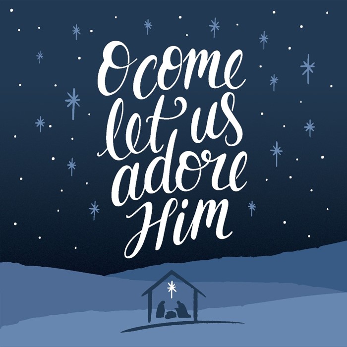 Adore Him - Christmas Card (Pack of 10)