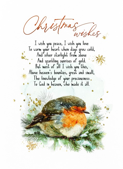 Robin Christmas Wishes Bible Card