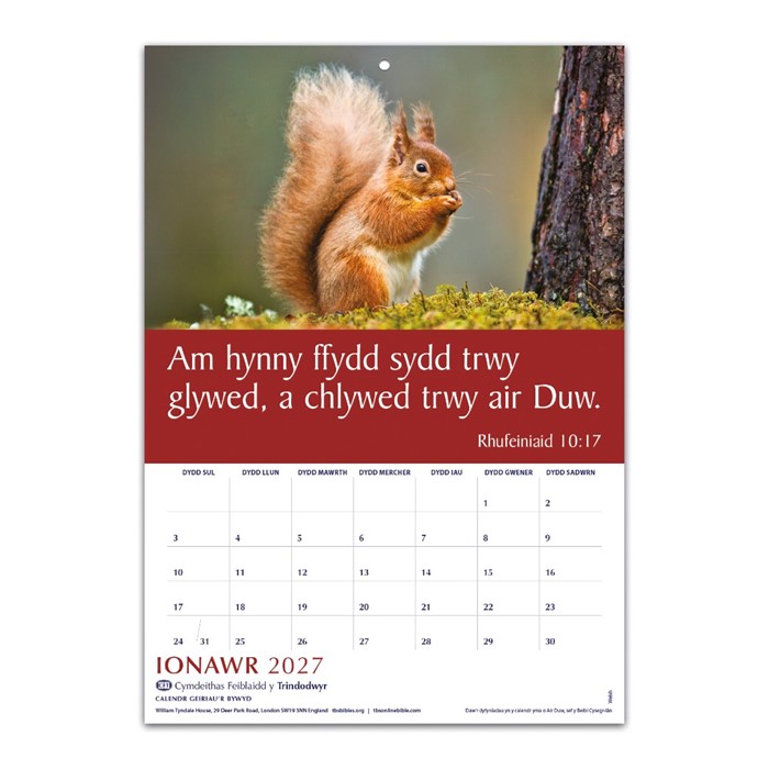 Welsh Words Of Life Calendar 2027