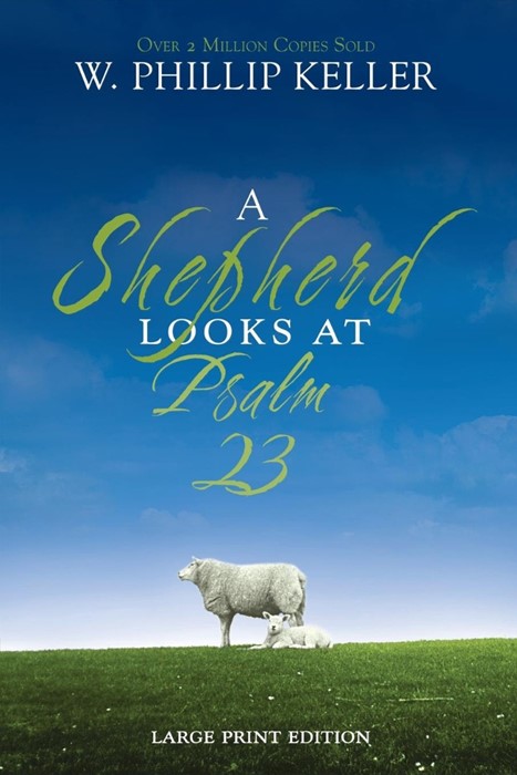 Shepherd Looks At Psalm 23, A