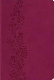 KJV Ultraslim Bible