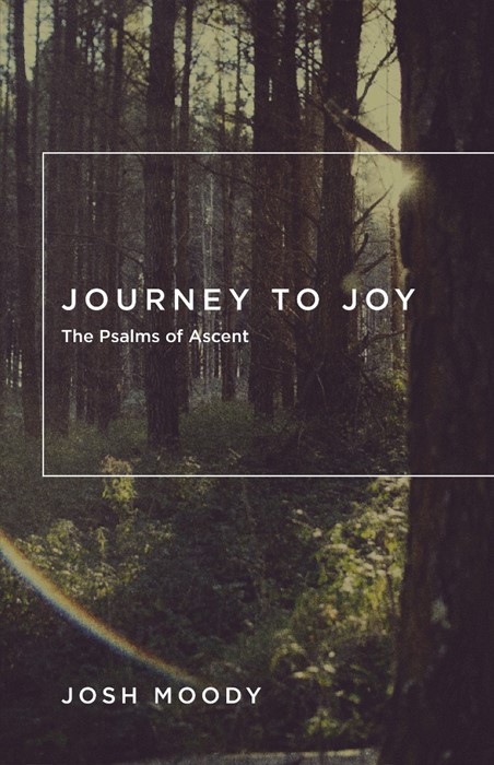 Journey To Joy