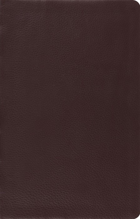 ESV Large Print Thinline Reference Bible (Brown)