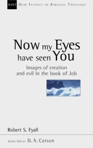 Now My Eyes Have Seen You