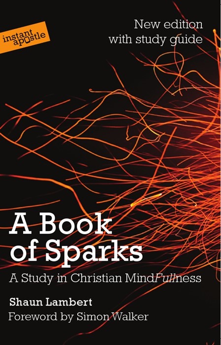 Book Of Sparks, A