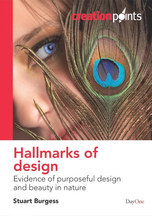 Hallmarks Of Design