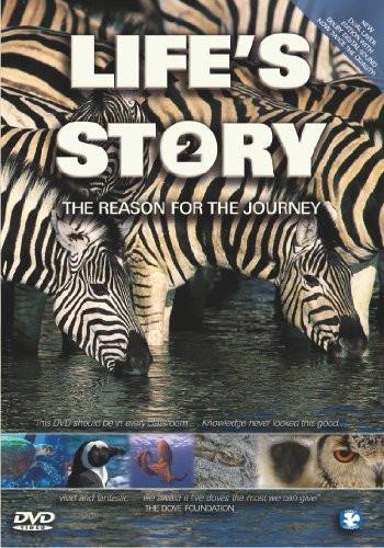Life's Story 2 DVD