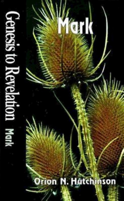 Genesis to Revelation - Mark Student Book