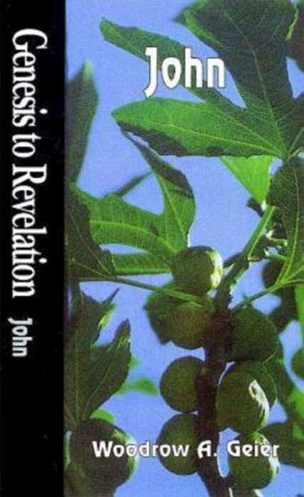 Genesis to Revelation: John Student Book