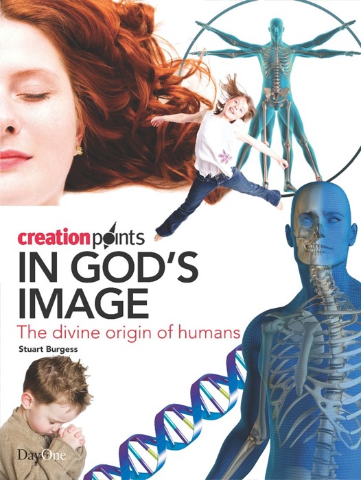 In God's Image