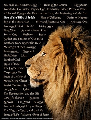 Lion of Judah Laminated Wall Chart