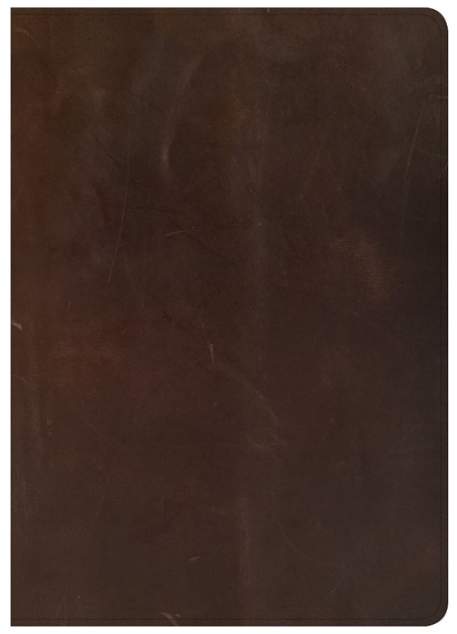 CSB She Reads Truth Bible, Brown Genuine Leather