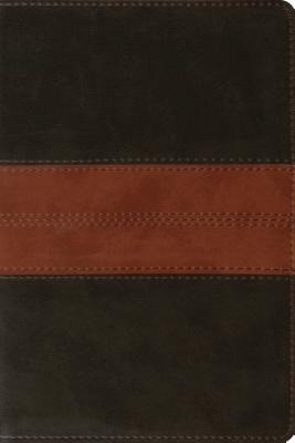 ESV Personal Reference Bible TruTone, Deep Brown/Tan