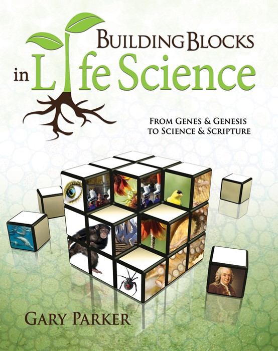 Building Blocks In Life Science
