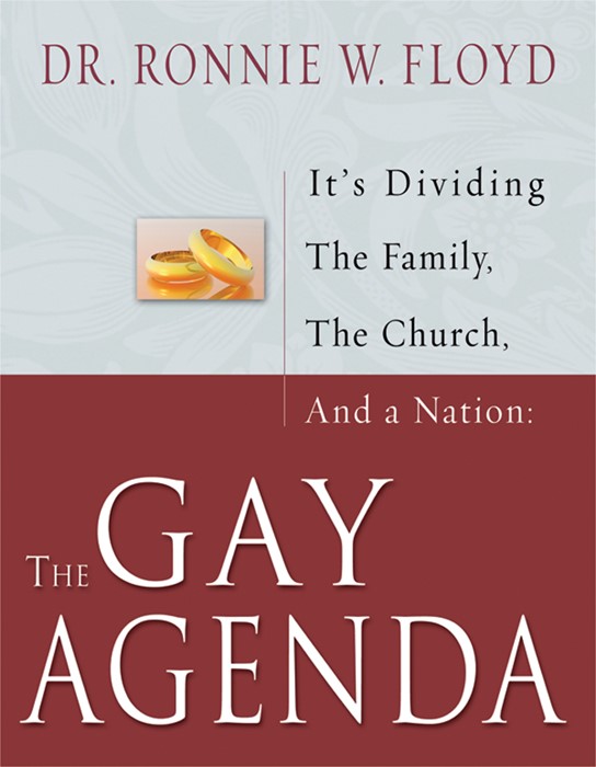 The Gay Agenda