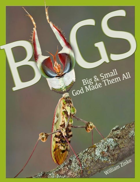 Bugs Big & Small