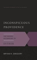 Inconspicuous Providence (Paperback)