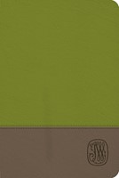 NRSV Wesley Study Bible (Imitation Leather)