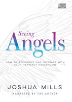 Seeing Angels Audio Book (CD-Audio)
