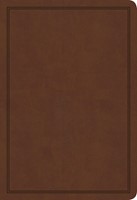 KJV Deluxe Gift Bible, Brown LeatherTouch (Imitation Leather)