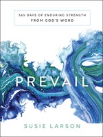 Prevail (Paperback)