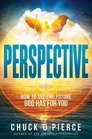 Perspective (Paperback)