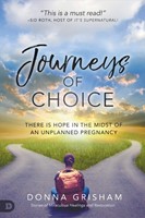 Journeys of Choice (Paperback)