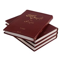 Persian New Testament with Psalms and Proverbs (Leather-Look)