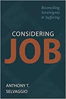 Considering Job (Paperback)