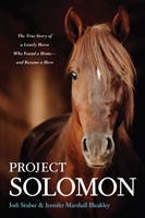Project Solomon