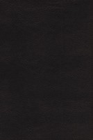 NRSVUE Holy Bible Leathersoft, Black, Comfort Print (Imitation Leather)