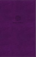 NRSVue Holy Bible Leathersoft, Purple, Comfort Print (Imitation Leather)