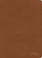 KJV Spurgeon Study Bible, Tan Leathertouch (Imitation Leather)