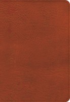 KJV Large Print Compact Reference Bible, Burnt Sienna (Imitation Leather)