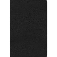 CSB Everyday Study Bible, Black Genuine Leather (Genuine Leather)