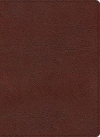 KJV Study Bible, Large Print Edition, Brown Bonded Leather (Bonded Leather)