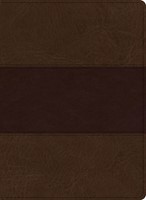 KJV Study Bible, Large Print Edition, Saddle Brown (Leather Binding)