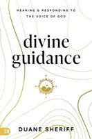 Divine Guidance (Paperback)
