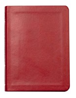 LSB New Testament With Psalms And Proverbs – Burgundy (Imitation Leather)