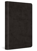 ESV Premium Church Bible, Black (Imitation Leather)
